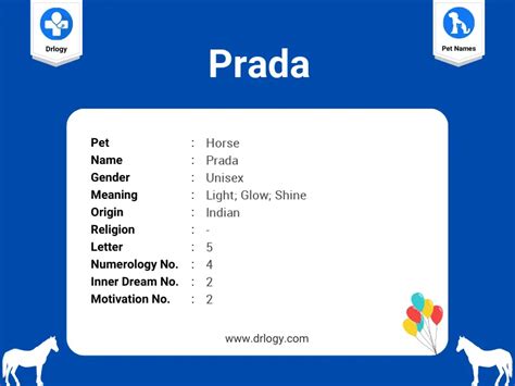 prada meaning slang|Prada meaning in english.